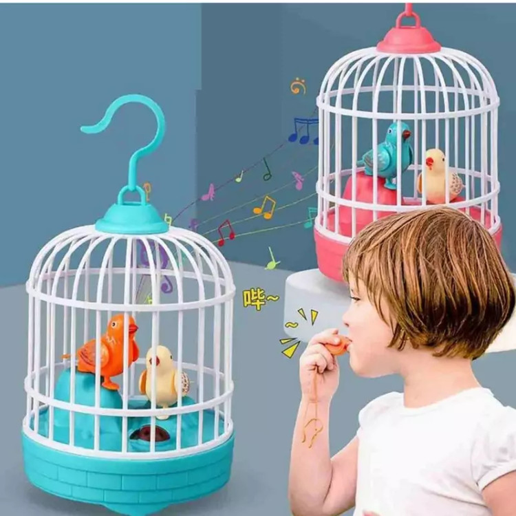 قیمت قناری سخن گو