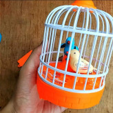 اسباب بازی قناری در قفس