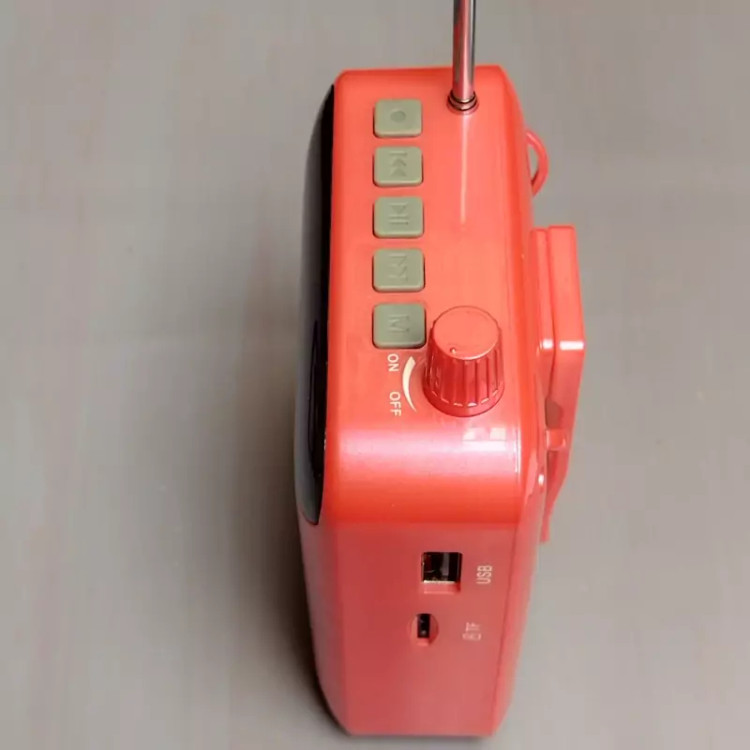 اسپیکر مناسب لیدر گردشگری