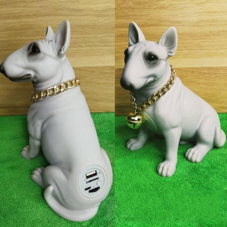 اسپیکر فلش خور کادویی