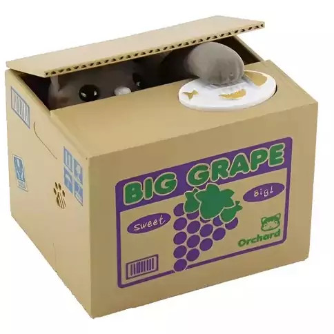 قیمت قلک گربه ای